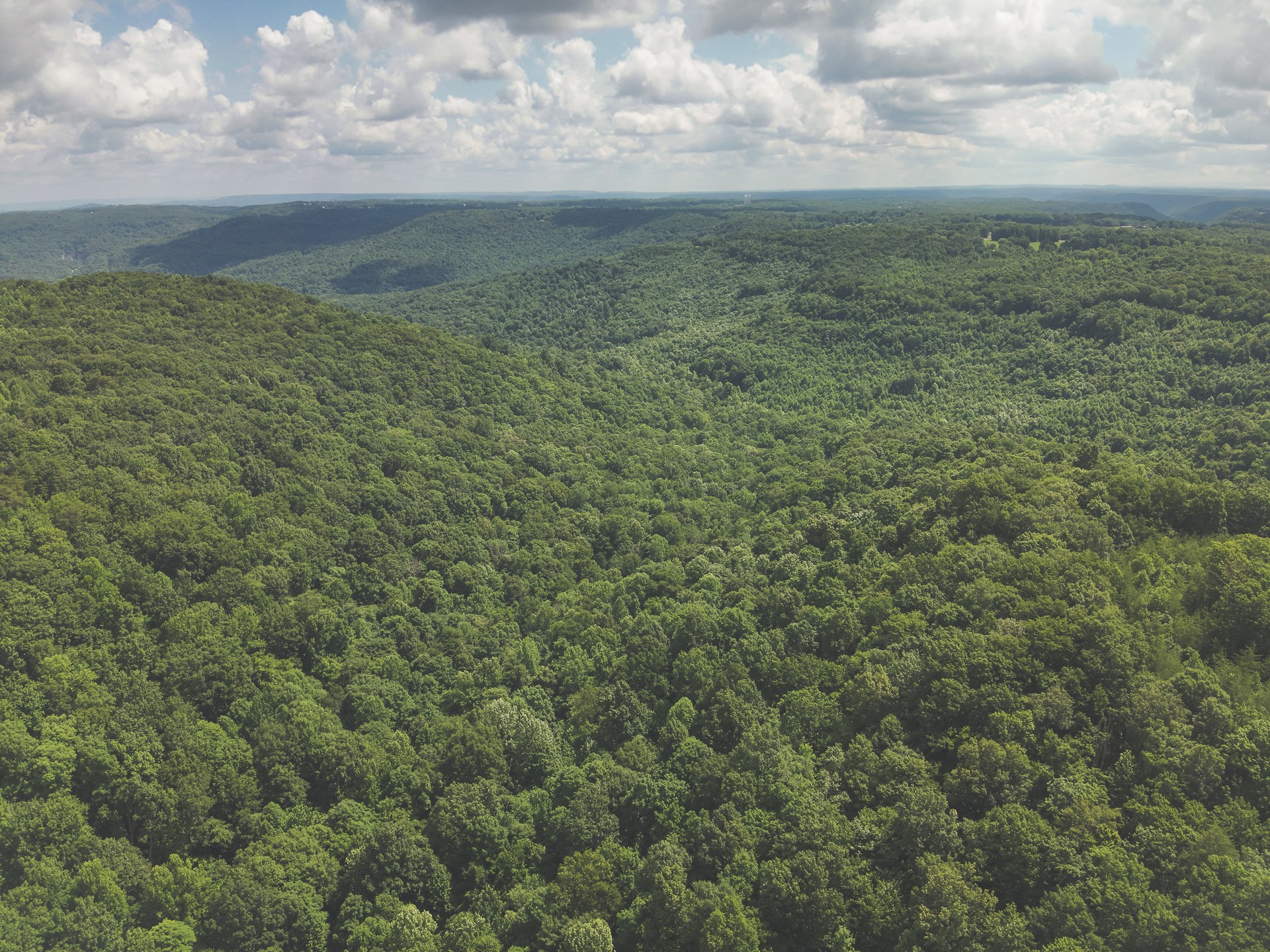 0 Long Fork Creek Road Spencer, TN 38585 - Photo 40 of 45