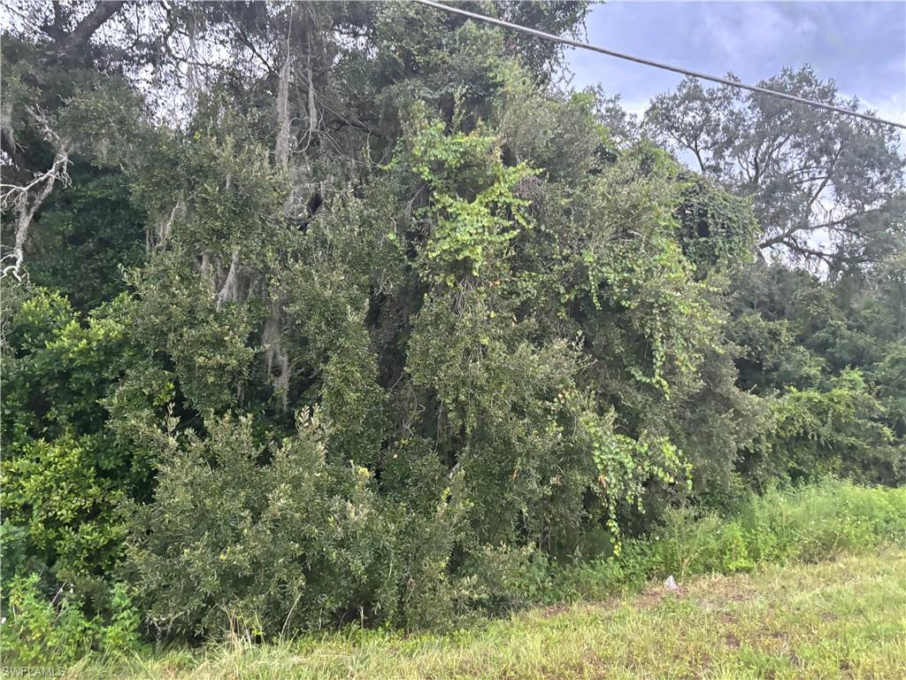 0 Cortez Ridge Manor Ridge Manor, FL 33523 - Photo 10 of 13 View of local wilderness
