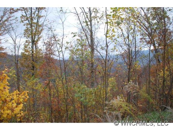 N43 The Ridges Hayesville, NC 28904 - Photo 1 of 1 Gallery Image 1