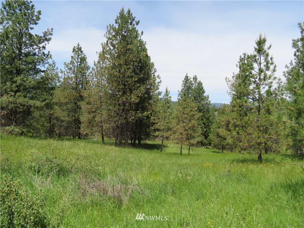 7 Boulder Creek Road Curlew, WA 99118 - Photo 3 of 23 Gallery Image 3