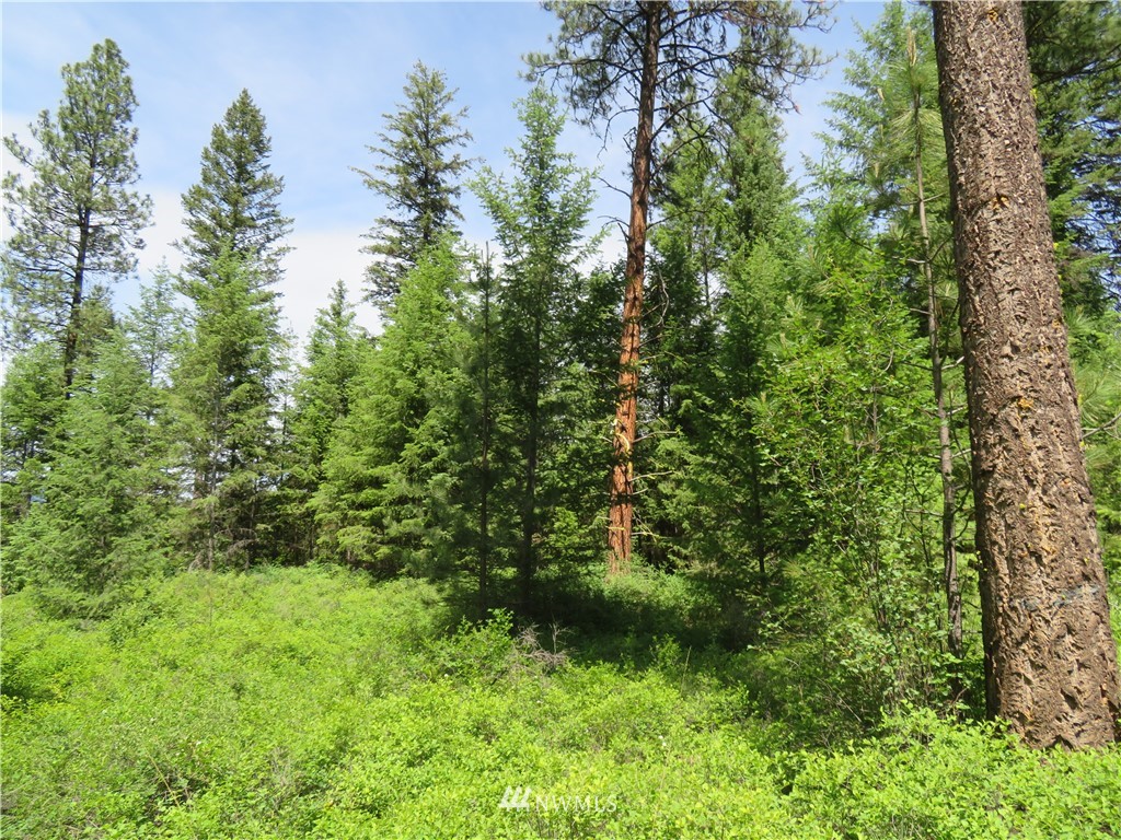 7 Boulder Creek Road Curlew, WA 99118 - Photo 22 of 23 Gallery Image 22