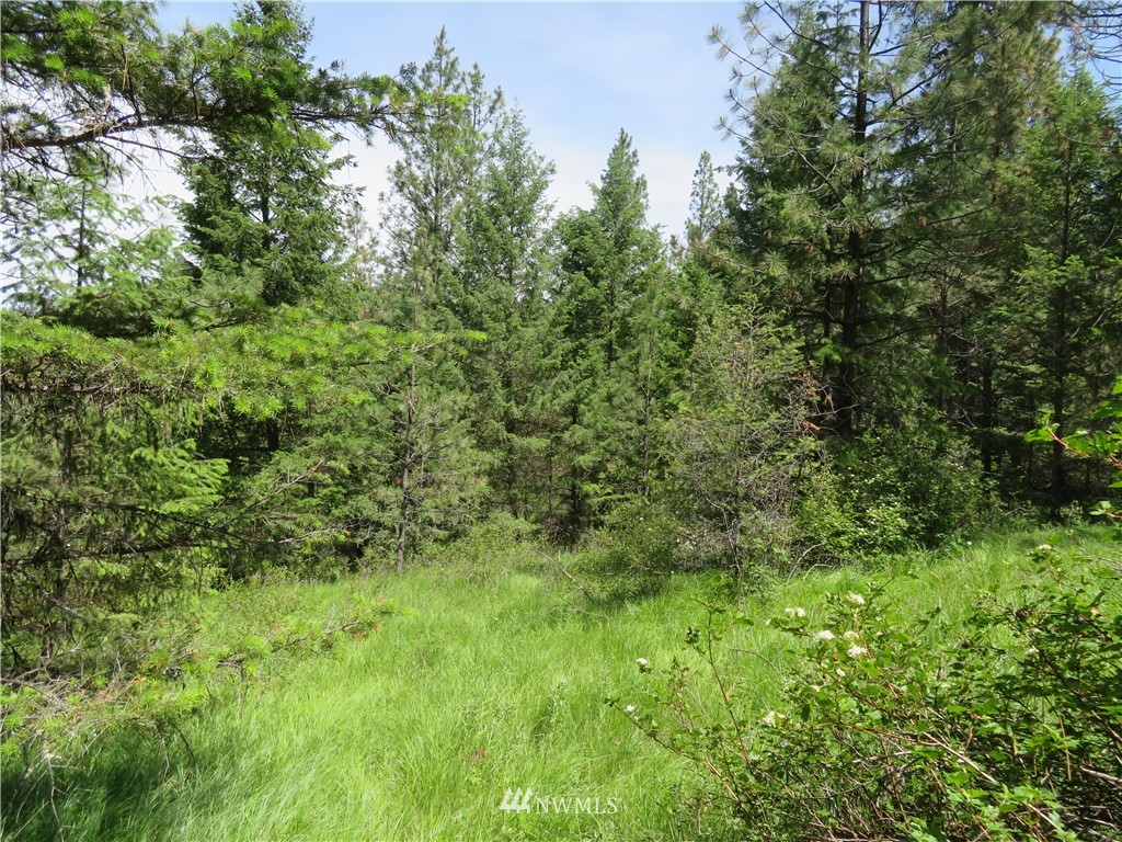 7 Boulder Creek Road Curlew, WA 99118 - Photo 8 of 23 Gallery Image 8