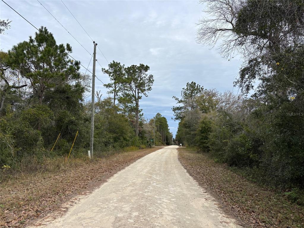 12 Carolina Dove Road Brooksville, FL 34614 - Photo 6 of 6 a view of a backyard
