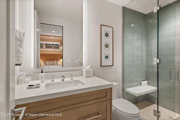 a bathroom with a sink toilet vanity and shower