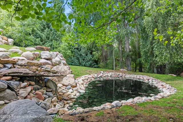 a view of a backyard with plants and lake