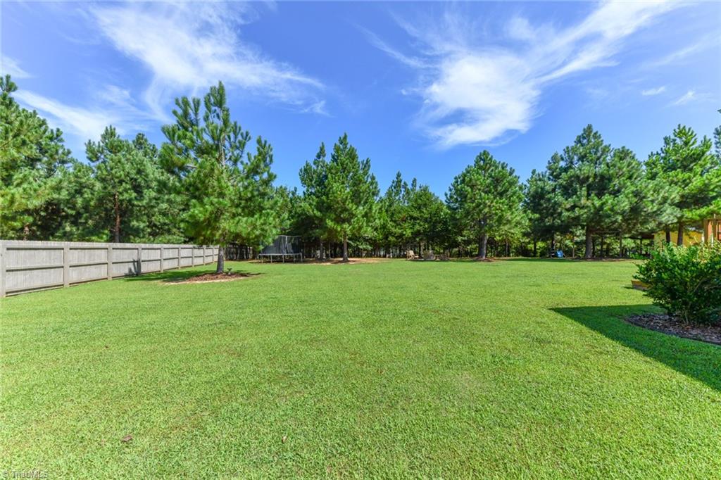193 Lemons Road Stokesdale, NC 27357 - Photo 29 of 36 Gallery Image 29