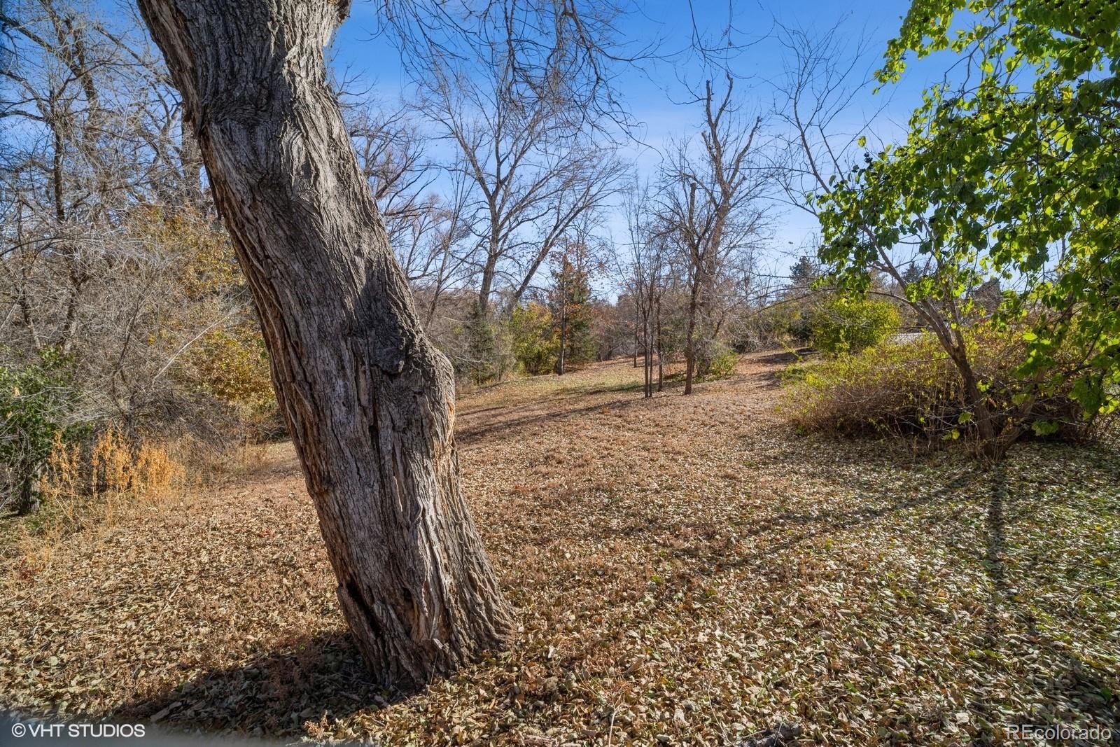 1 Garrison Street Wheat Ridge, CO 80033 - Photo 7 of 28 Gallery Image 7