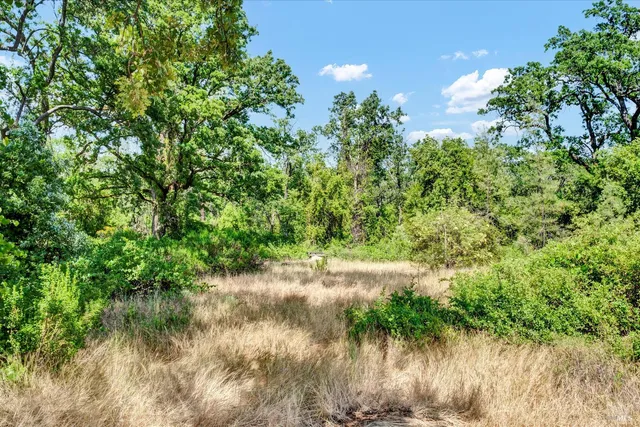 $1,340,000 | 22550 Shady Grove Road, Middletown, CA 95461