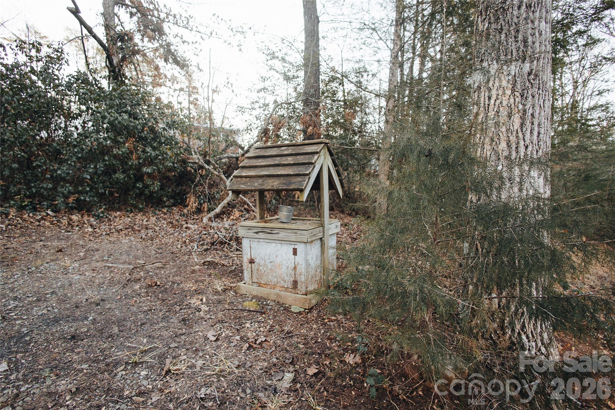 2506 Lytle Mountain Road Marion, NC 28752 - Photo 3 of 34