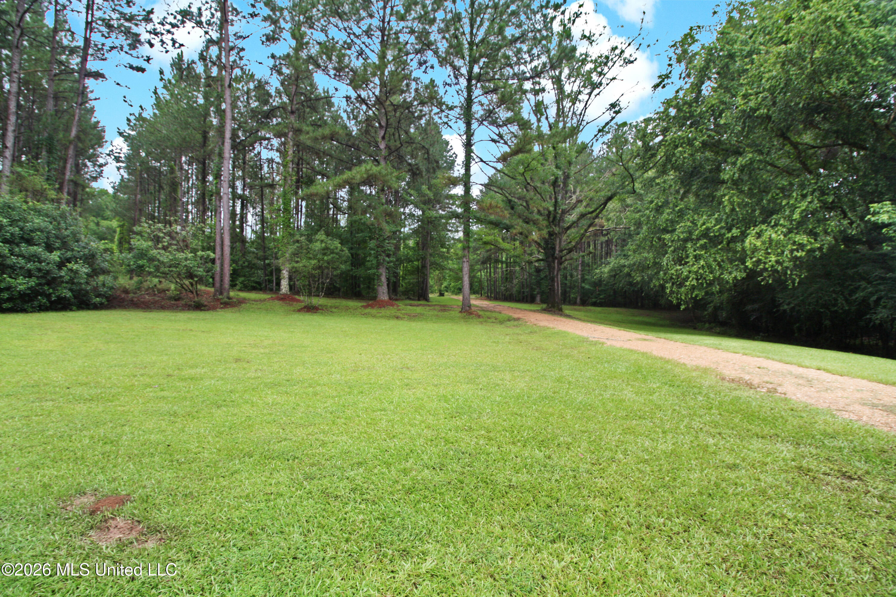 2623 Pleasant Valley Road Meadville, MS 39653 - Photo 46 of 55 IMG_0948