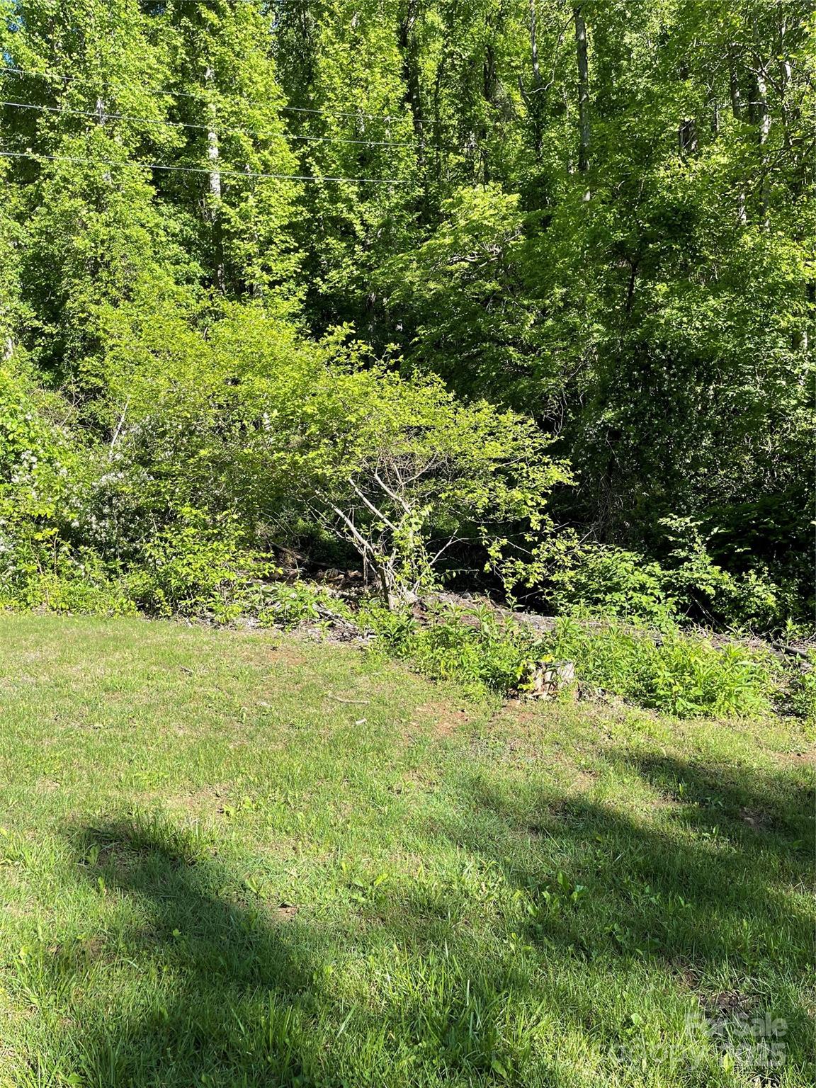 430 Warren Creek Road Candler, NC 28715 - Photo 5 of 5