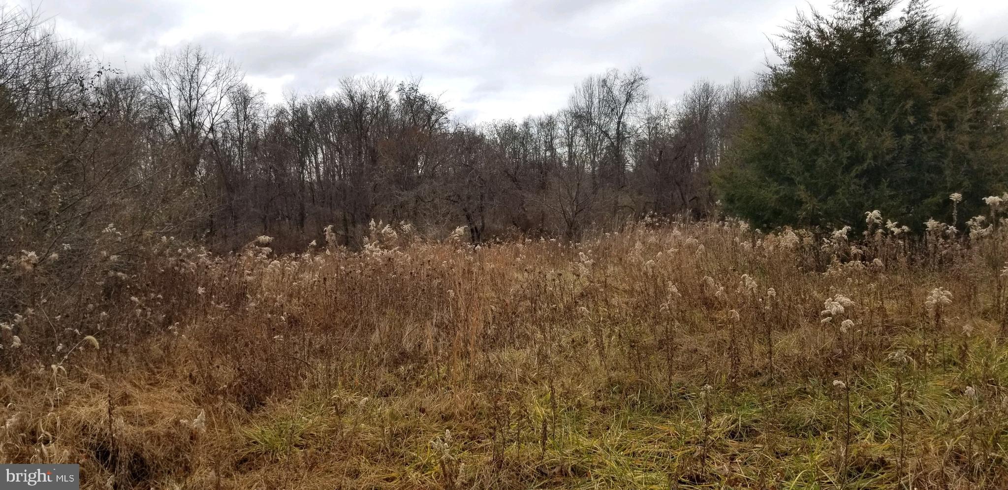 Lot 5 Erney Road Dover, PA 17315 - Photo 1 of 1