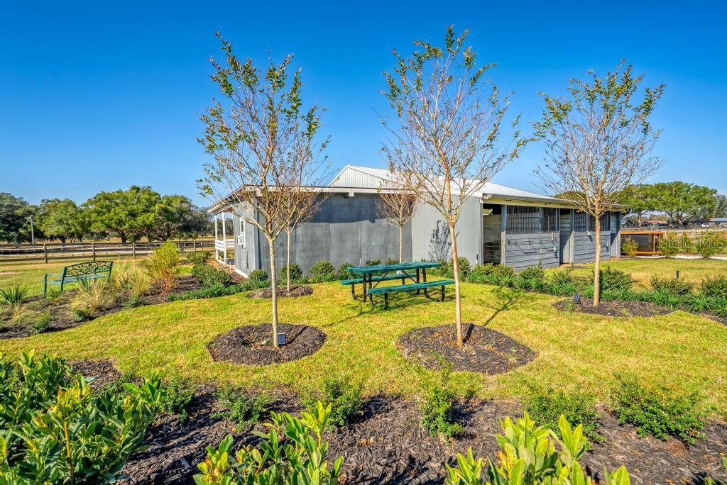 15305 Northwest 112th Place Road Morriston, FL 32668 - Photo 22 of 95