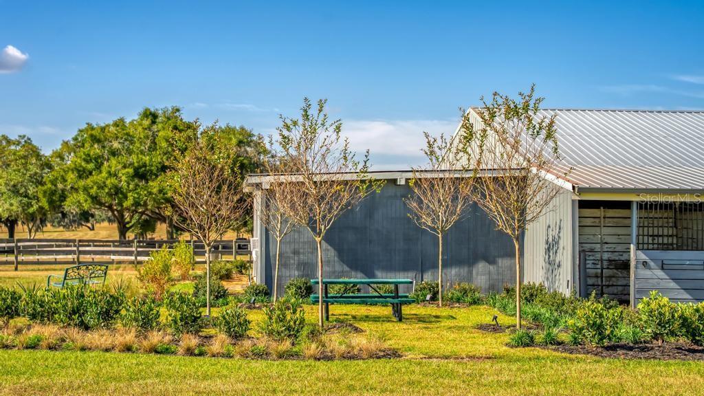 15305 Northwest 112th Place Road Morriston, FL 32668 - Photo 29 of 95