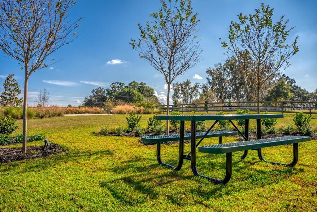 15305 Northwest 112th Place Road Morriston, FL 32668 - Photo 33 of 95