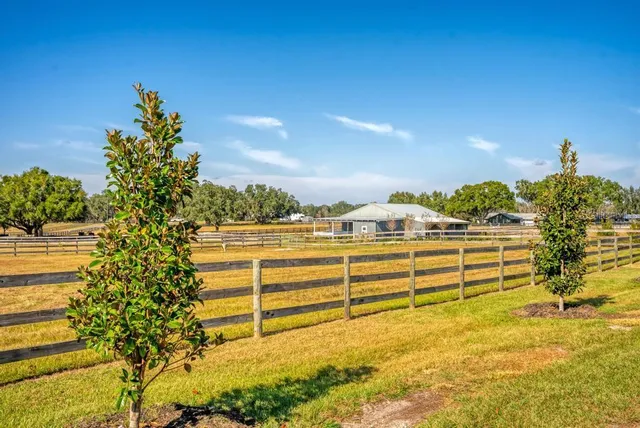 a front view of house with yard and seating area