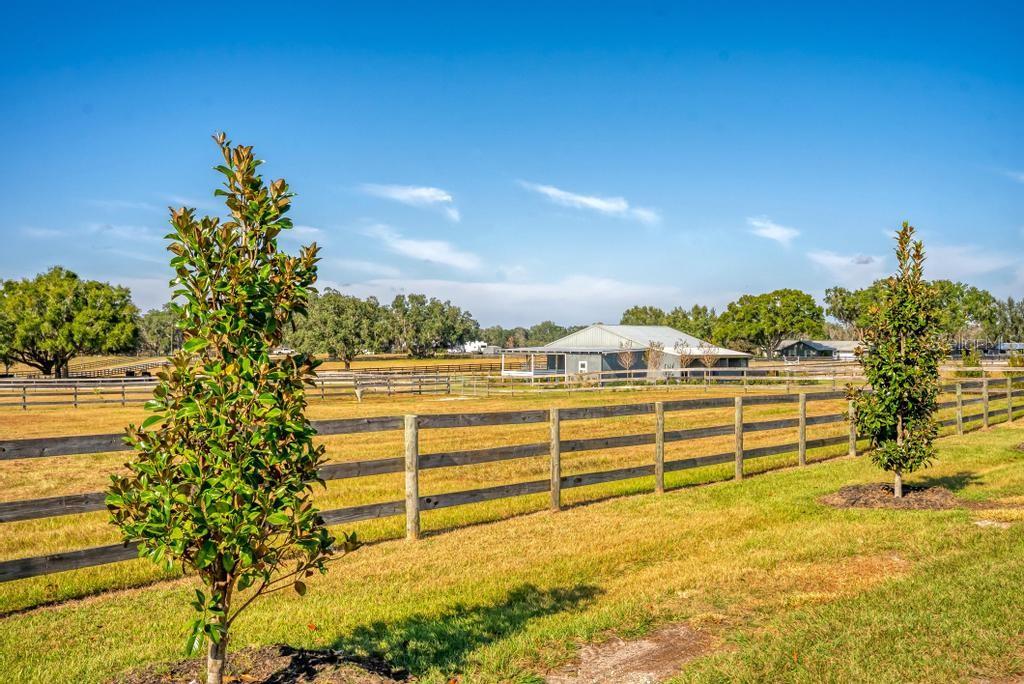 15305 Northwest 112th Place Road Morriston, FL 32668 - Photo 4 of 95