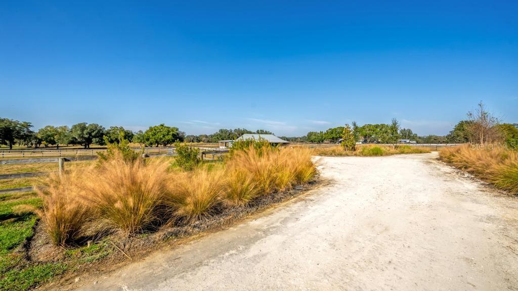15305 Northwest 112th Place Road Morriston, FL 32668 - Photo 5 of 95 a view of a lake with a beach
