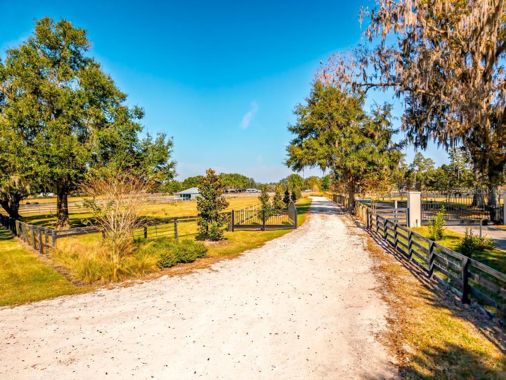15305 Northwest 112th Place Road Morriston, FL 32668 - Photo 89 of 95 a view of swimming pool with an outdoor space