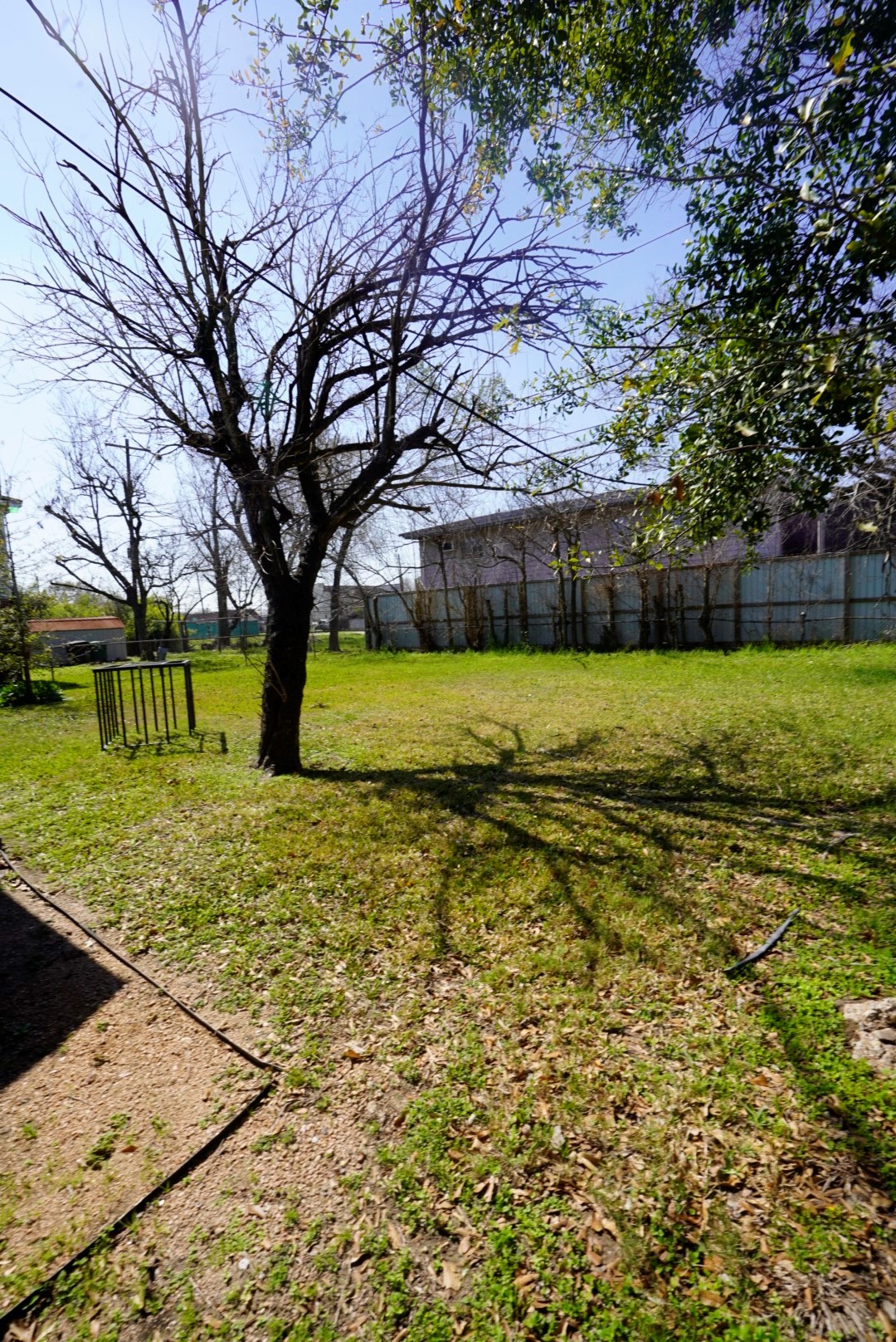 6814 Tierwester Street Houston, TX 77021 - Photo 12 of 13 a view of a yard with a tree