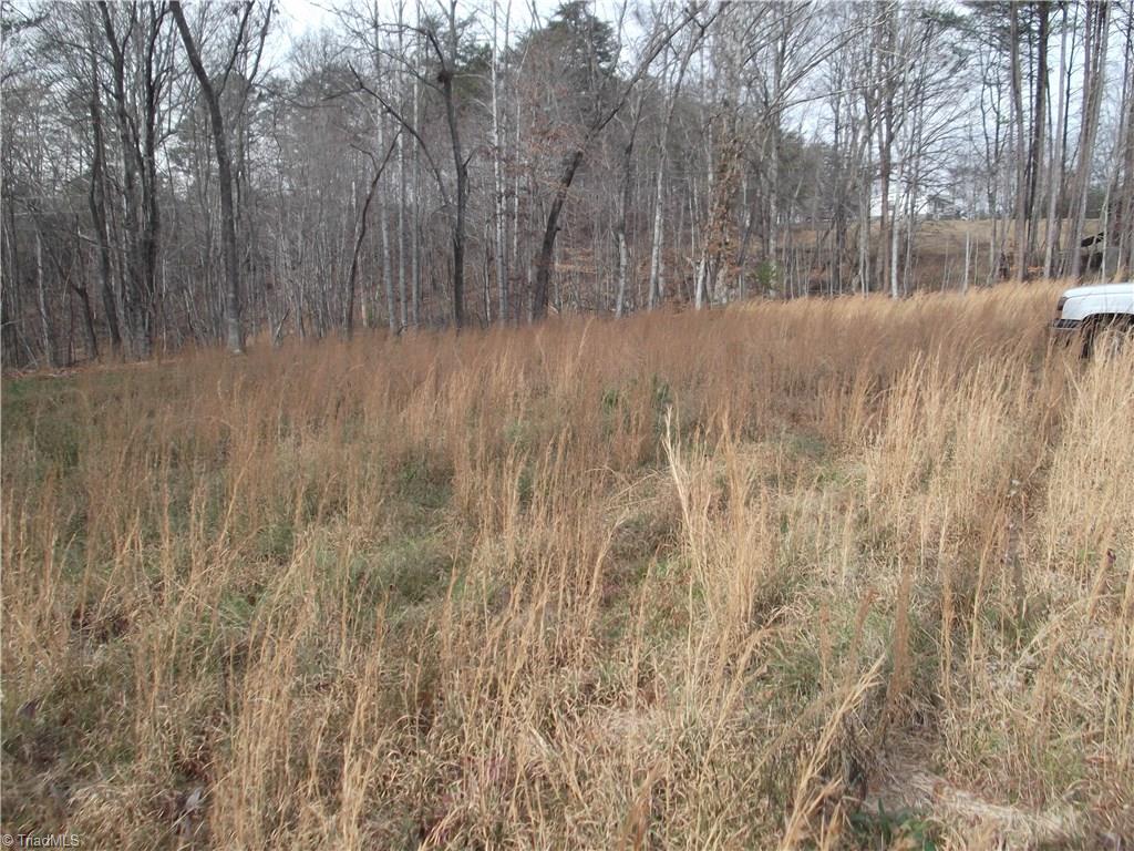 1206 South Friendship Road King, NC 27021 - Photo 2 of 6