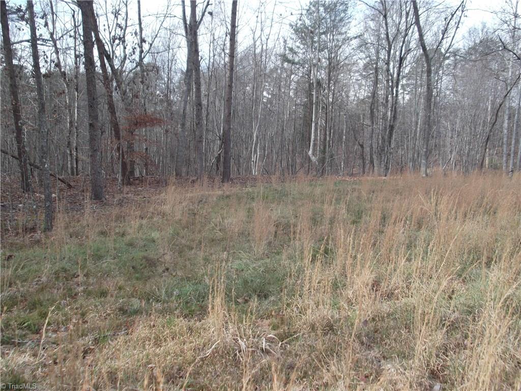 1206 South Friendship Road King, NC 27021 - Photo 4 of 6