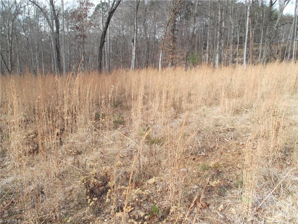1206 South Friendship Road King, NC 27021 - Photo 5 of 6