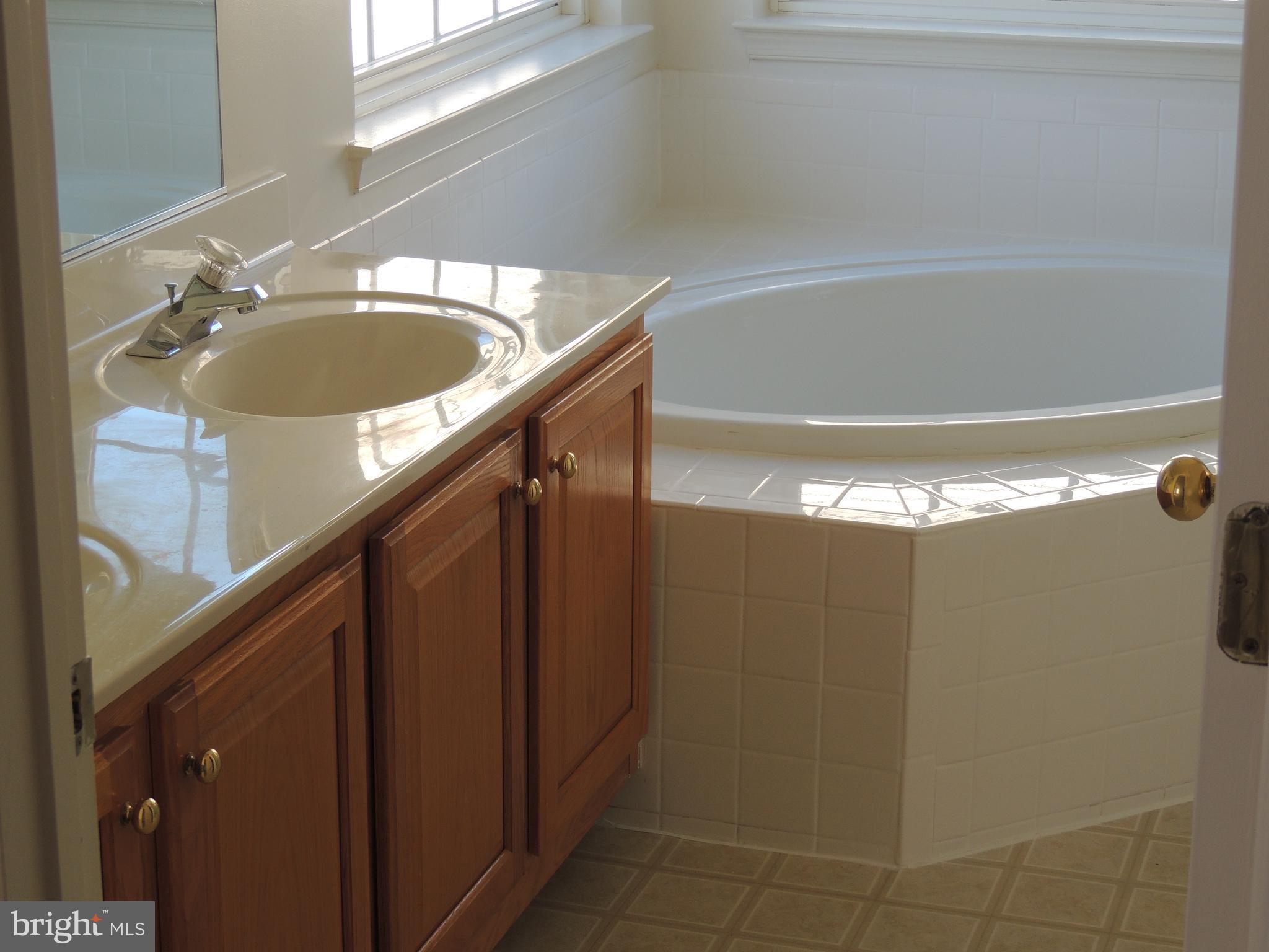17676 Hampstead Ridge Court Dumfries, VA 22026 - Photo 14 of 22 a bathroom with a sink and mirror