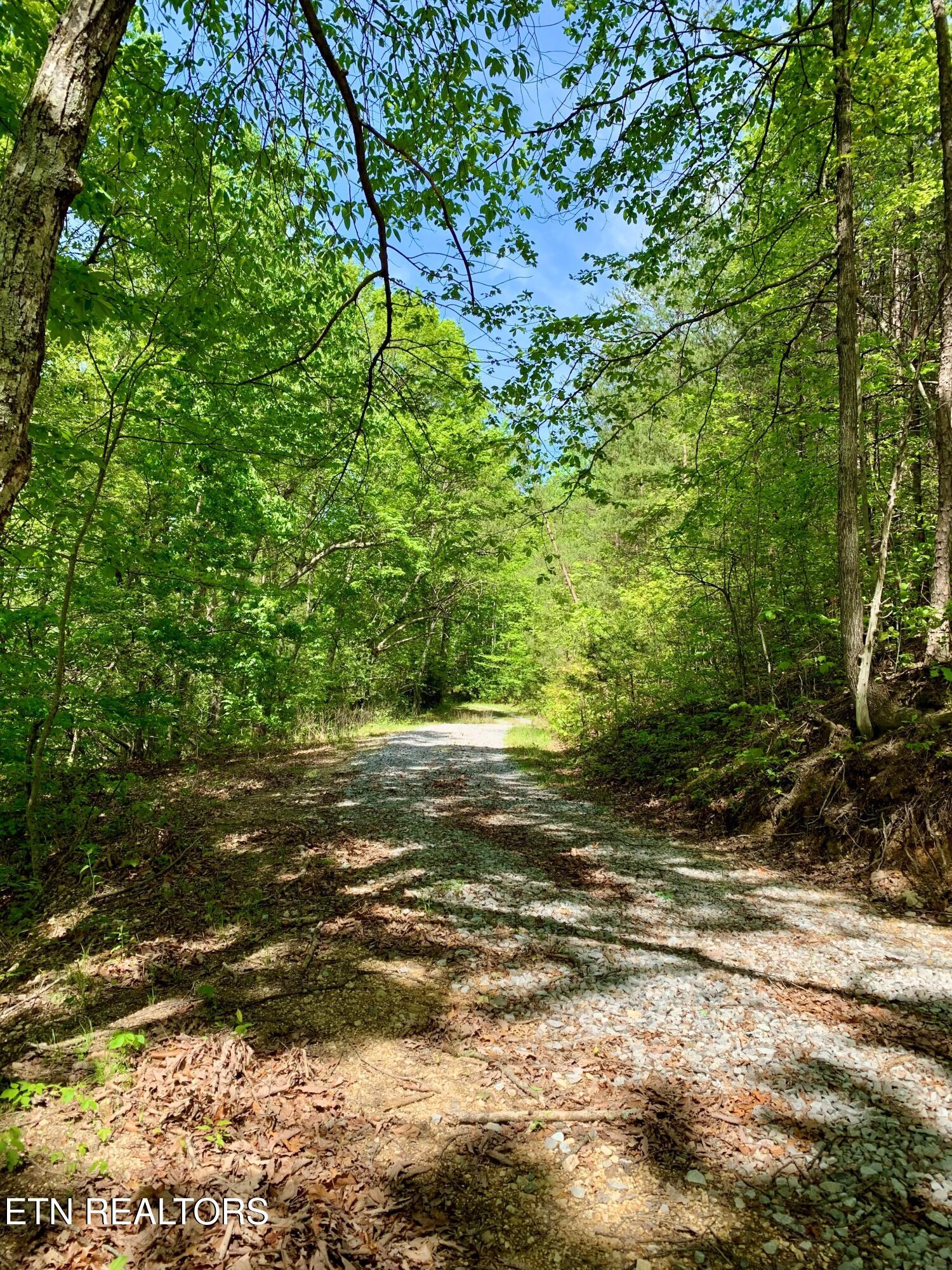1088 Jones Ridge Road Speedwell, TN 37870 - Photo 50 of 53 6