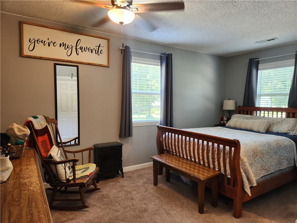 203 Wall Street Findlay, IL 62534 - Photo 13 of 29