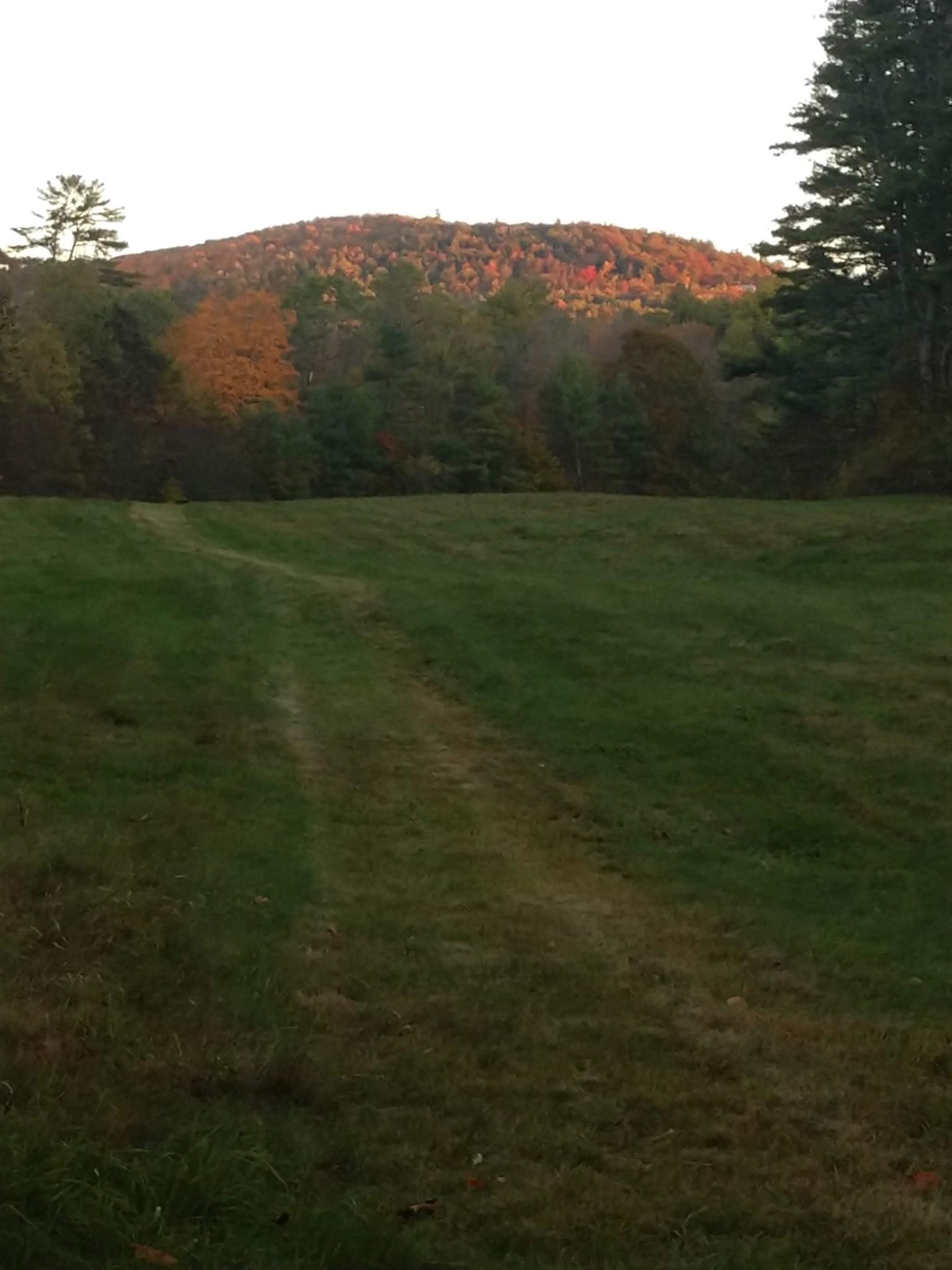 4 Cutler Road Plainfield, NH 03781 - Photo 6 of 33