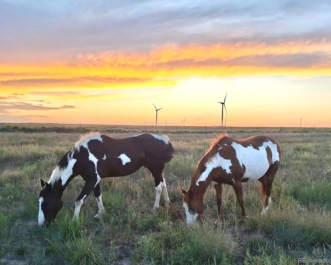 a view of a lake from a yard