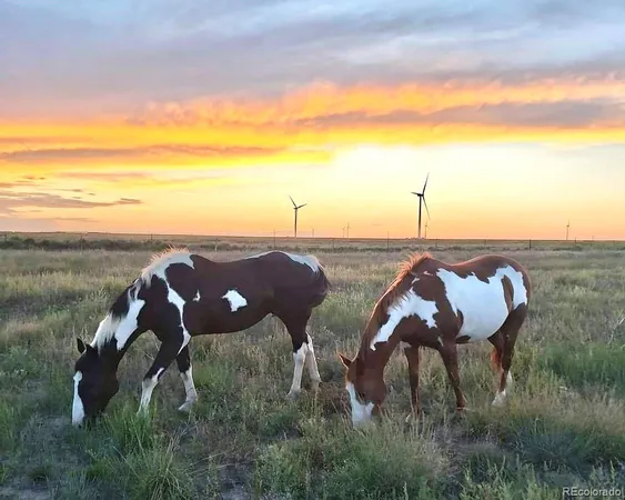a view of a tree in a field