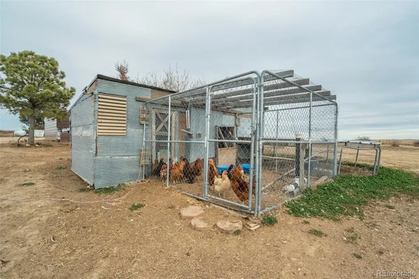 a view of a swimming pool with a lounge chairs