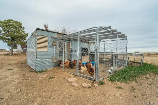 a view of a swimming pool with a lounge chairs