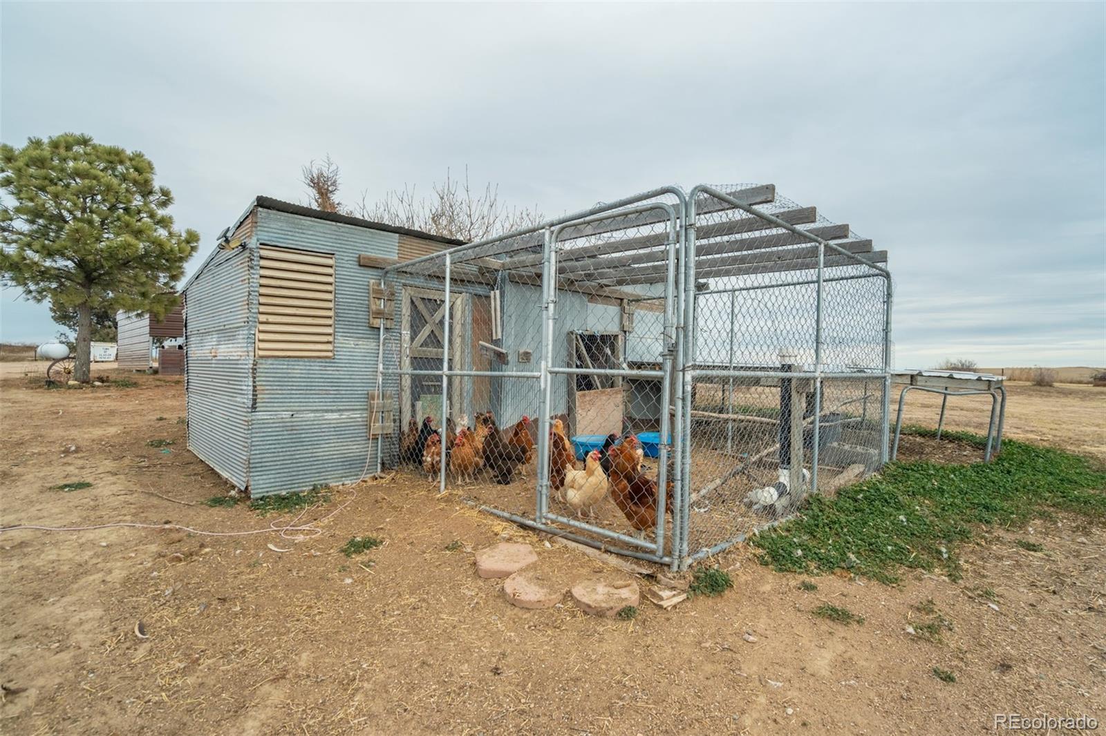 53647 County Road Genoa, CO 80818 - Photo 5 of 47 a view of a room with racks on the wall