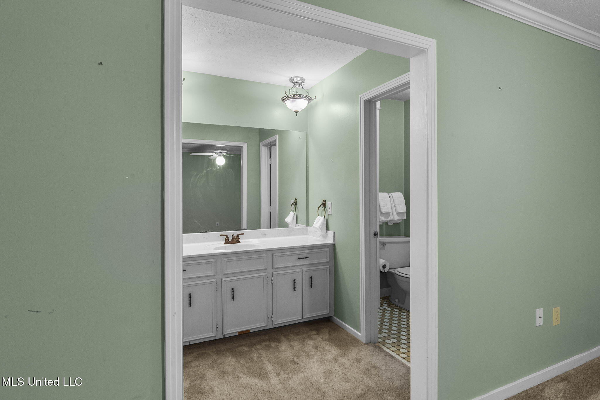 102 Sunline Drive Brandon, MS 39042 - Photo 29 of 45 Master Bath