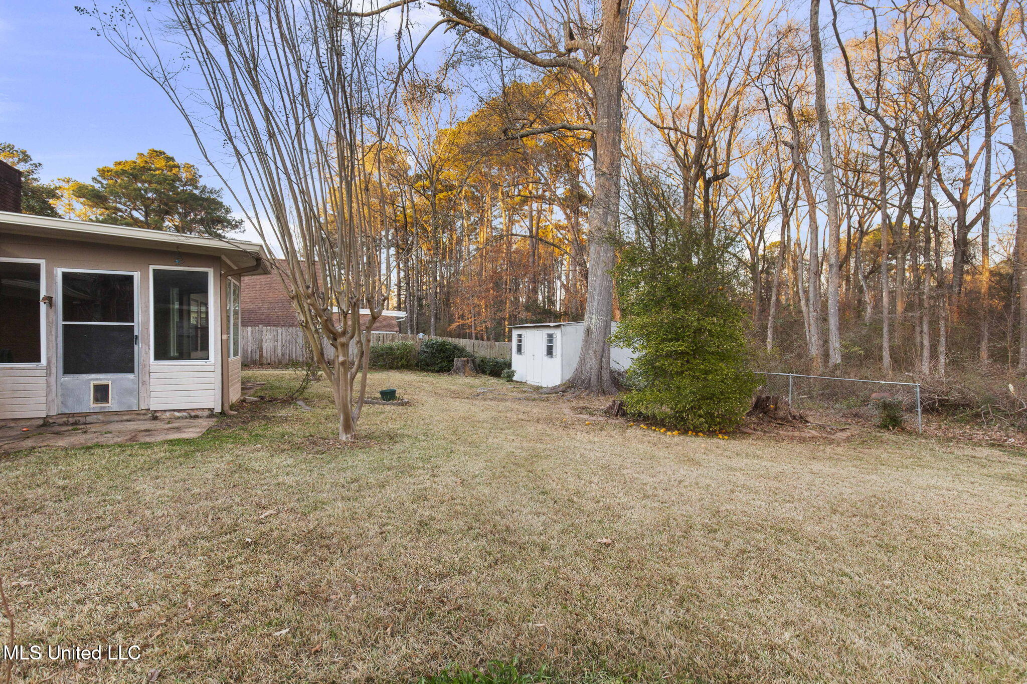 102 Sunline Drive Brandon, MS 39042 - Photo 40 of 45 Backyard