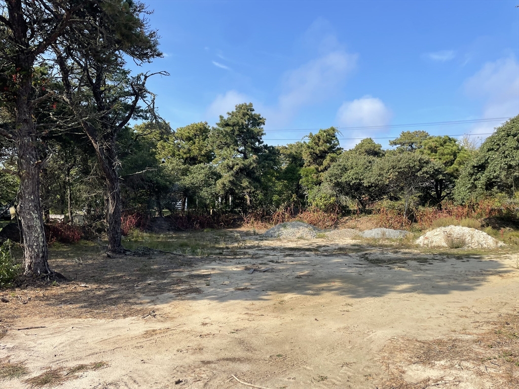 103 A Old South Road Nantucket, MA 02554 - Photo 3 of 6