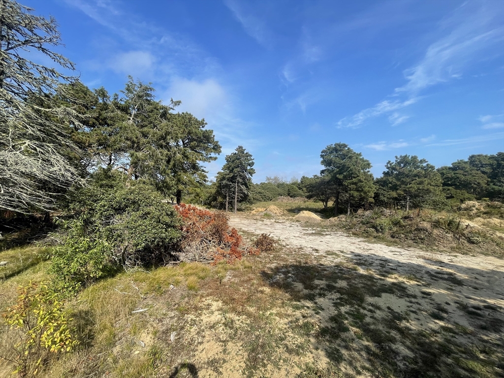 103 A Old South Road Nantucket, MA 02554 - Photo 4 of 6