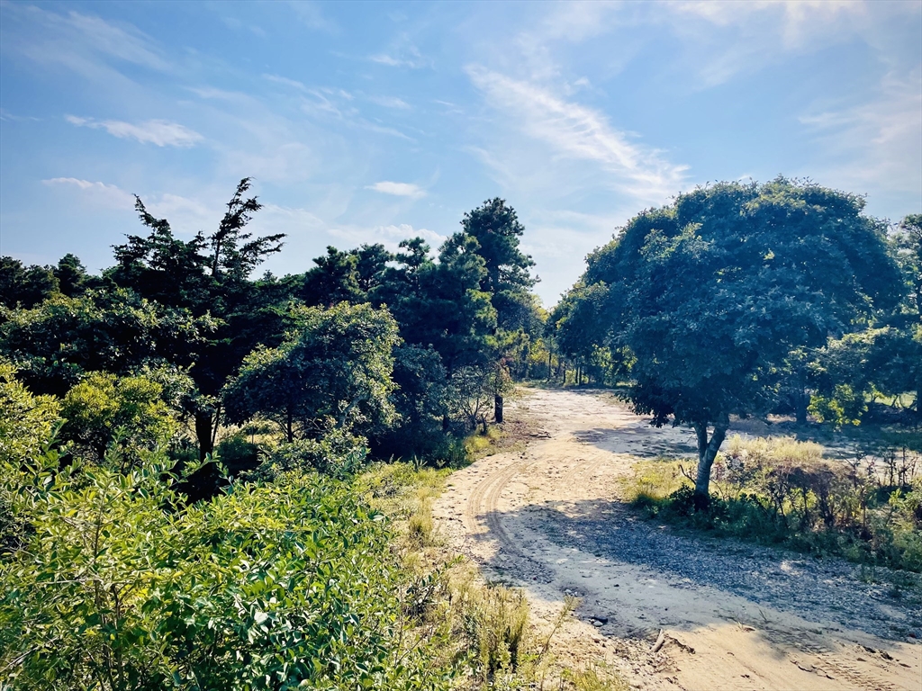 103 A Old South Road Nantucket, MA 02554 - Photo 6 of 6