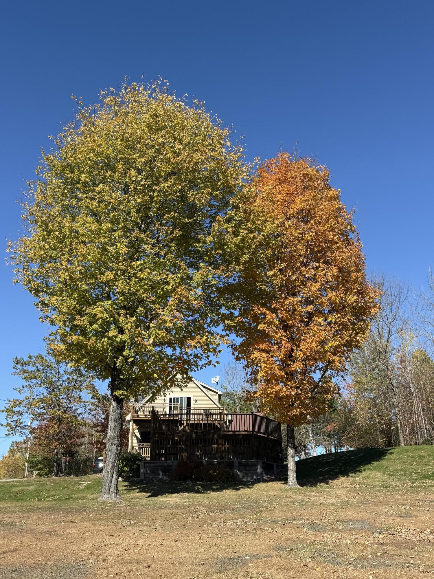 7 Hilltop Road Guilford, ME 04443 - Photo 19 of 83 IMG_8710