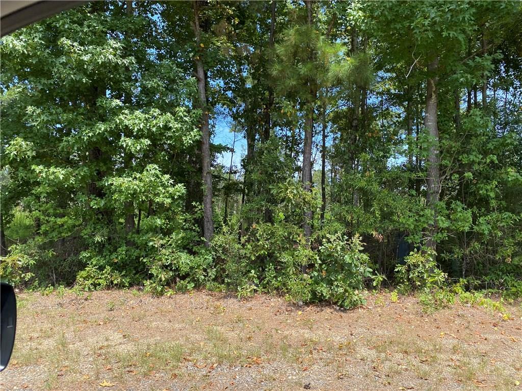 0 Dance, Unit 33 Shreveport, LA 71129 - Photo 1 of 1 a view of plants and trees