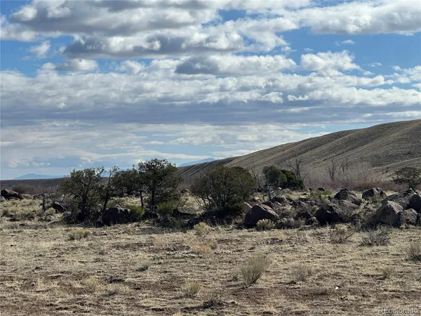 a view of a dry yard with wooden fence
