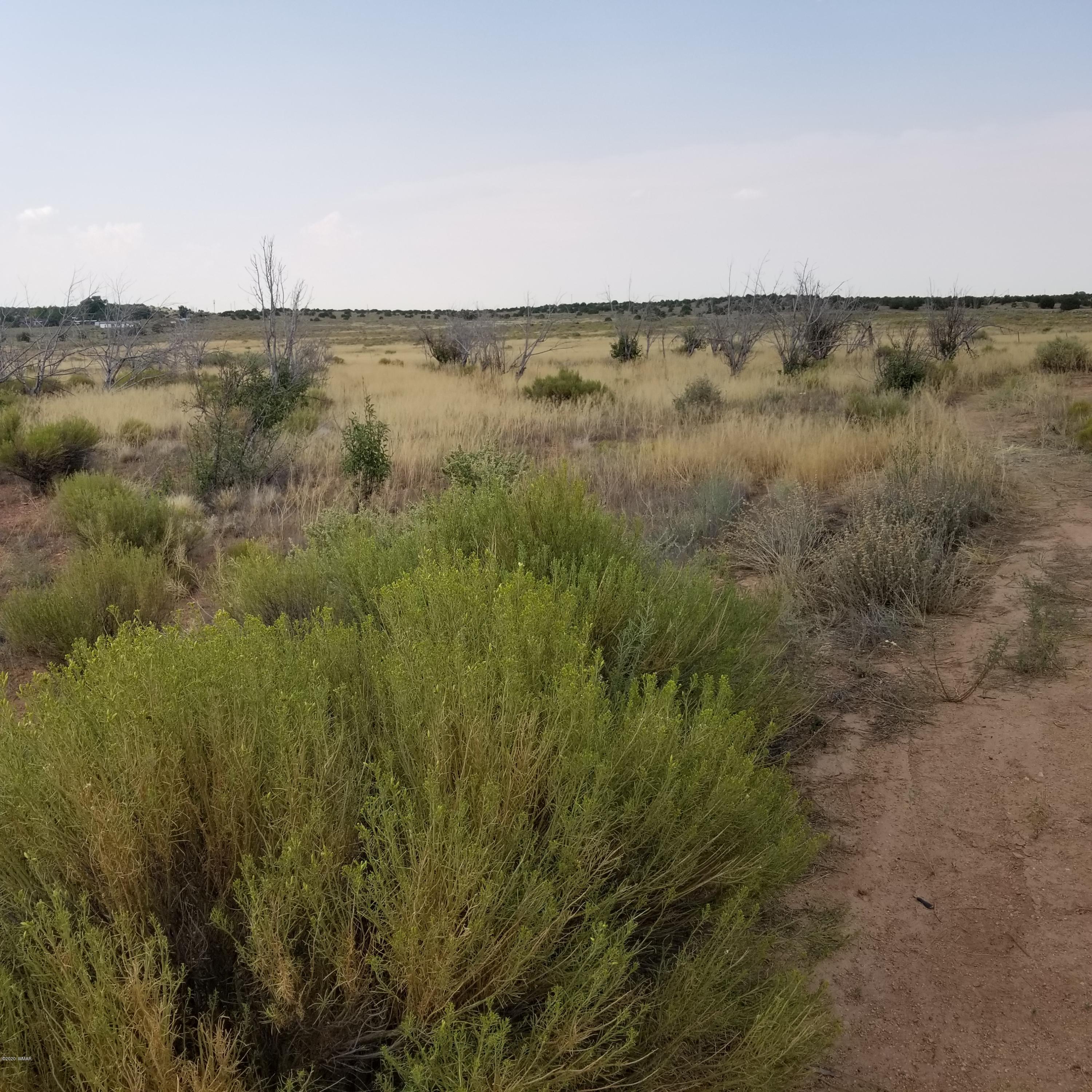 5-ac 5-ac 404-03-012r / Bourdon Ranch Road Taylor, AZ 85939 - Photo 1 of 10