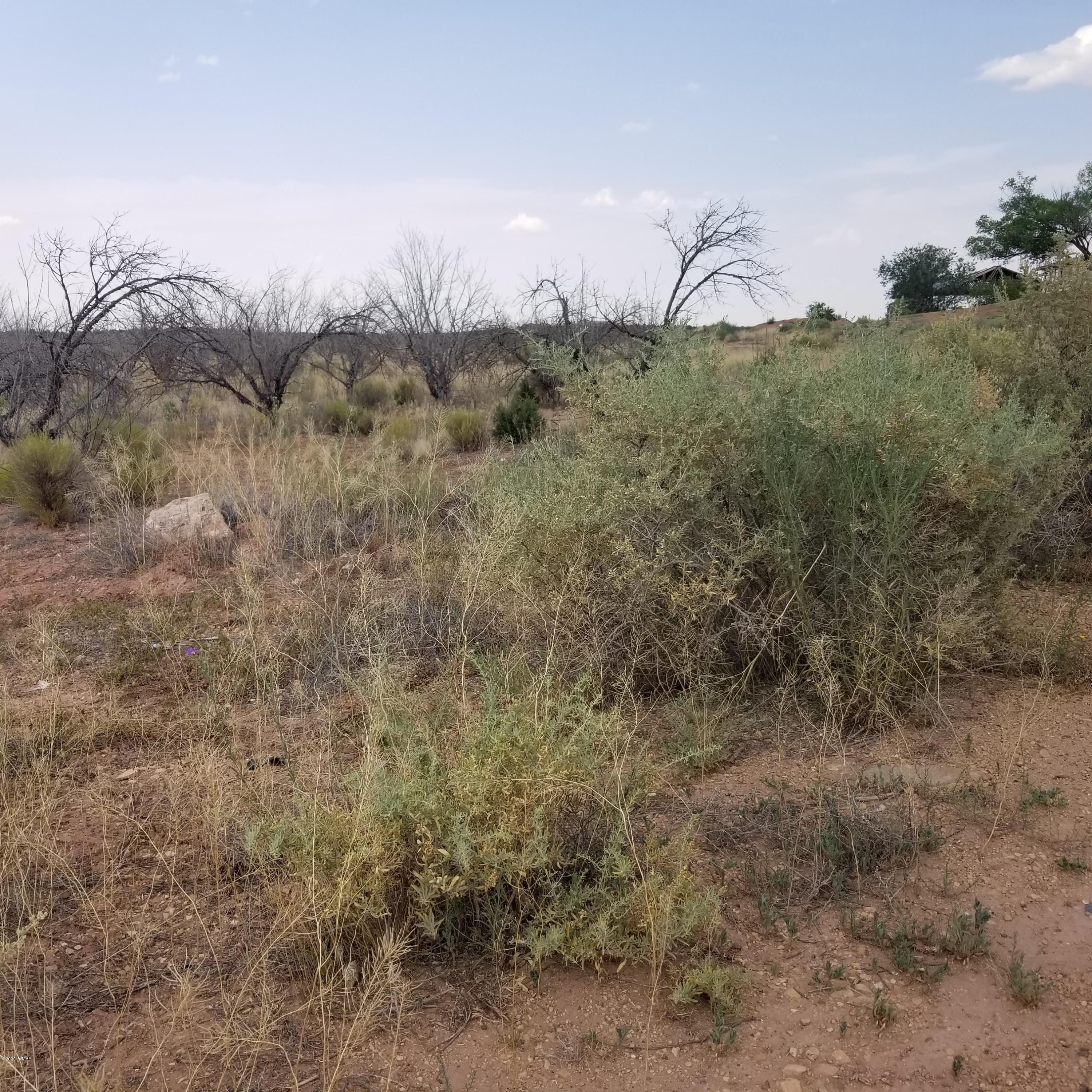 5-ac 5-ac 404-03-012r / Bourdon Ranch Road Taylor, AZ 85939 - Photo 3 of 10