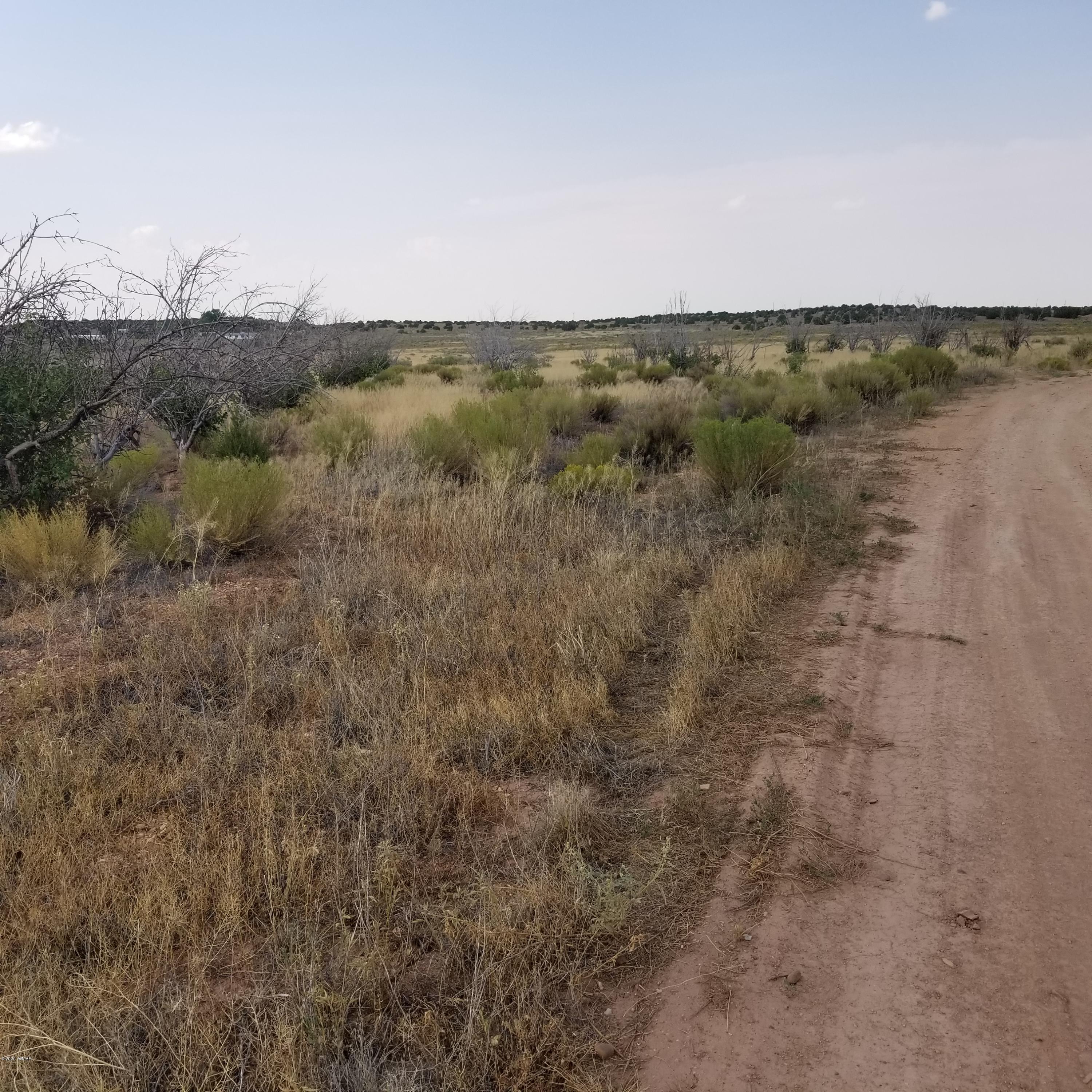 5-ac 5-ac 404-03-012r / Bourdon Ranch Road Taylor, AZ 85939 - Photo 4 of 10