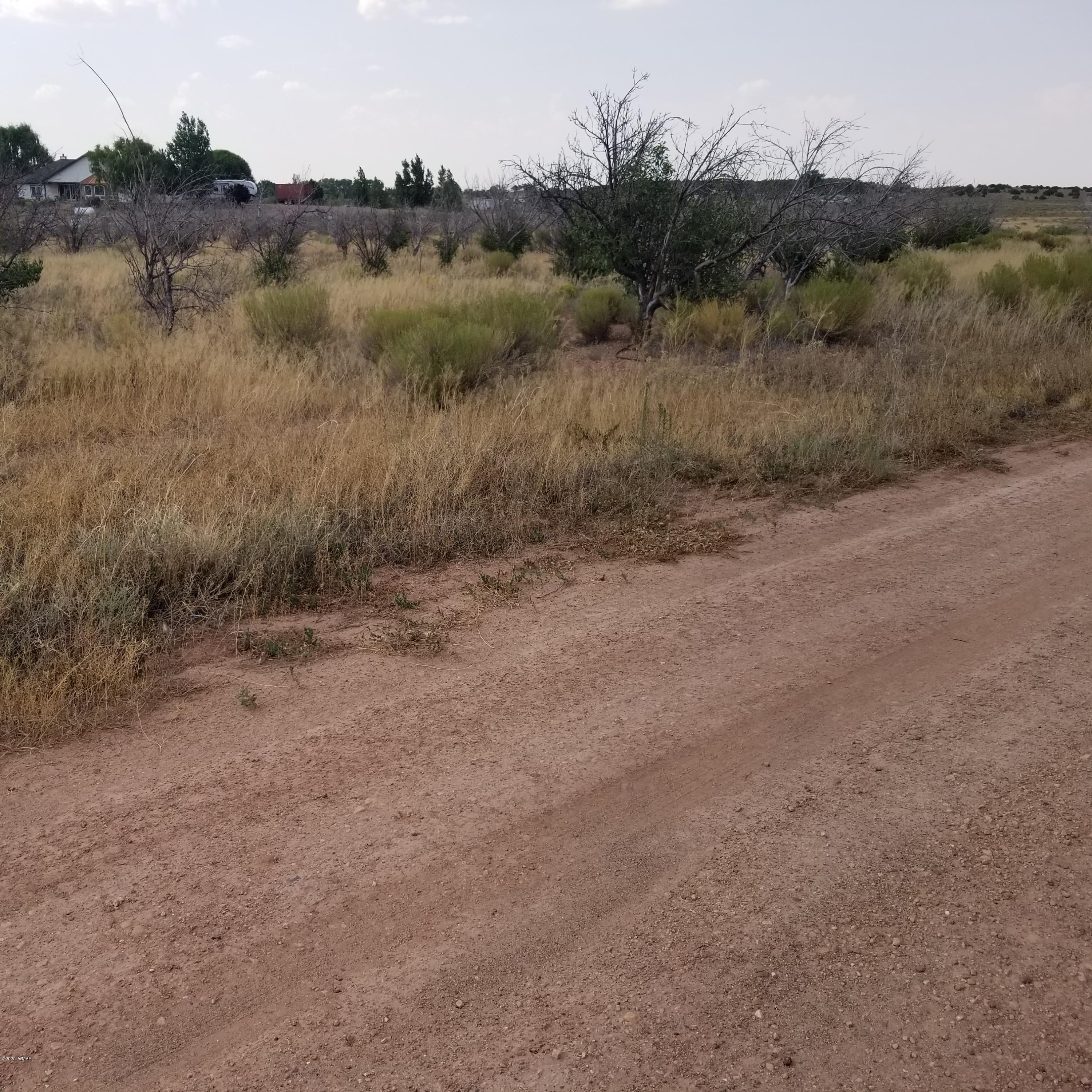 5-ac 5-ac 404-03-012r / Bourdon Ranch Road Taylor, AZ 85939 - Photo 5 of 10