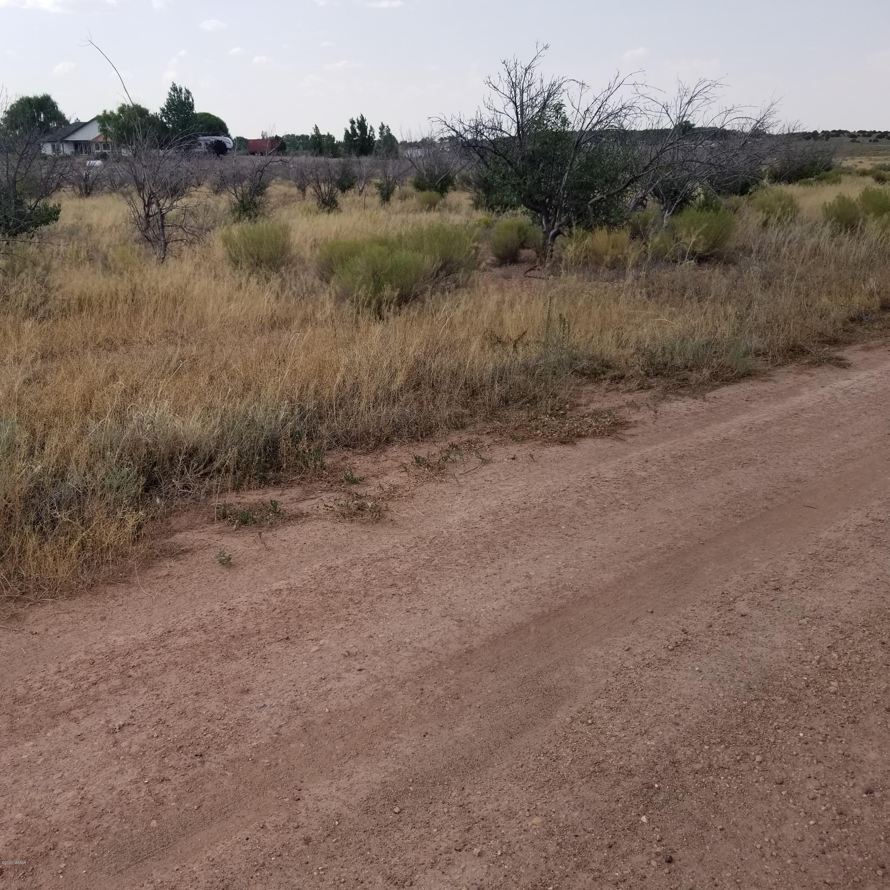 5-ac 5-ac 404-03-012r / Bourdon Ranch Road Taylor, AZ 85939 - Photo 6 of 10