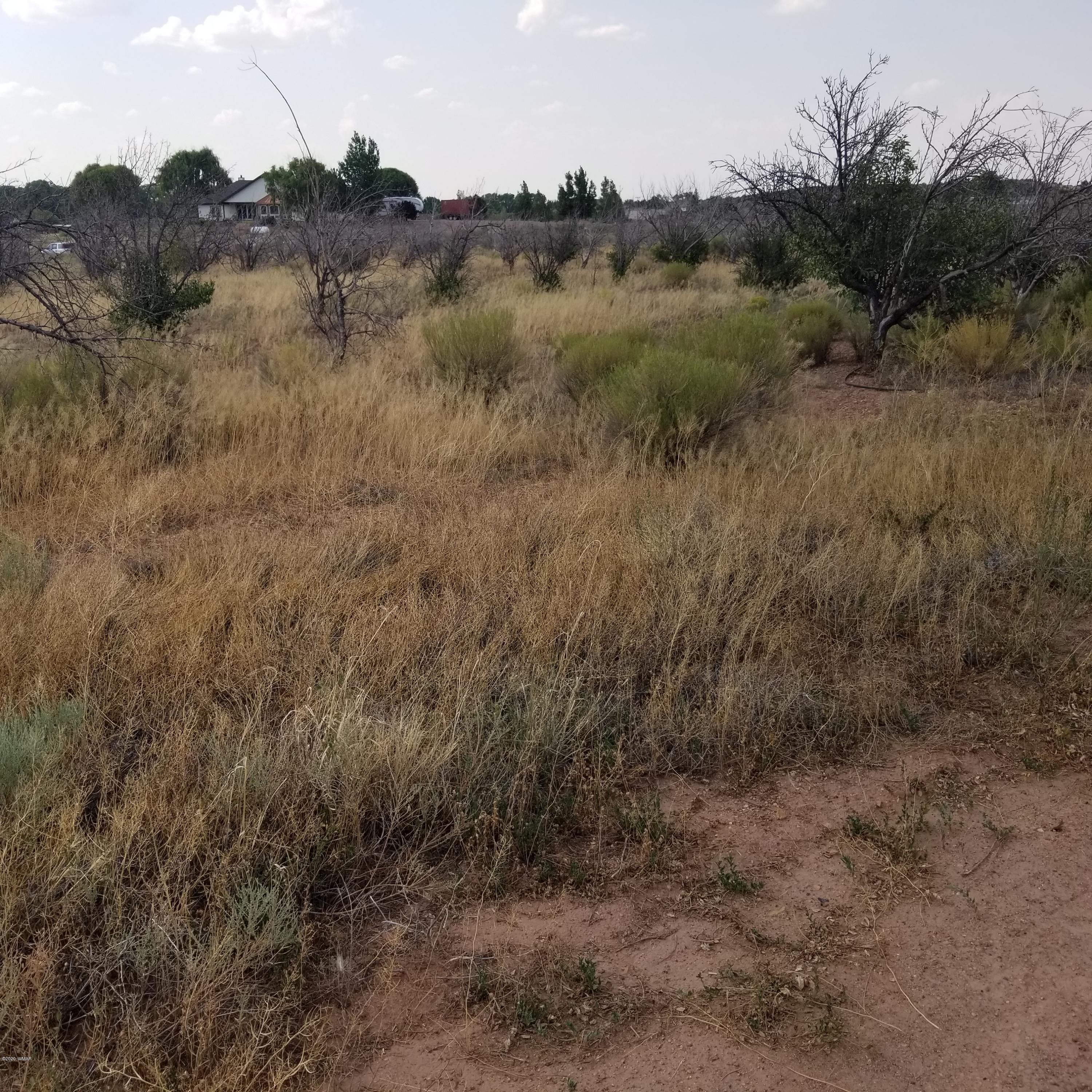 5-ac 5-ac 404-03-012r / Bourdon Ranch Road Taylor, AZ 85939 - Photo 8 of 10
